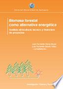 Descargar el libro libro Biomasa Forestal Como Alternativa Energética
