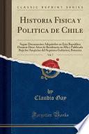 Descargar el libro libro Historia Fisica Y Politica De Chile, Vol. 7