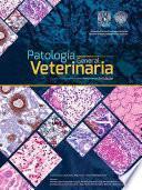 Descargar el libro libro Patología General Veterinaria