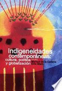 Descargar el libro libro Indigeneidades Contemporáneas: Cultura, Política Y Globalización