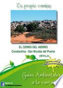 Descargar el libro libro El Cerro Del Hierro: Constantina San Nicolás Del Puerto (sevilla)