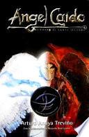 libro Angel Caido