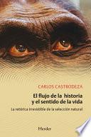 Carlos Castrodeza Ruiz De La Cuesta