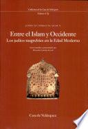 libro Entre El Islam Y Occidente