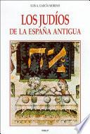 libro Los Judíos De La España Antigua