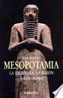 libro Mesopotamia