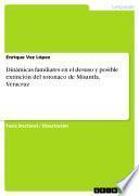 Descargar el libro libro Dinámicas Familiares En El Desuso Y Posible Extinción Del Totonaco De Misantla, Veracruz