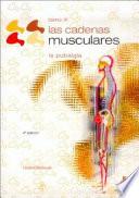 Descargar el libro libro Cadenas Musculares, Las (tomo Iii).la Pubalgia