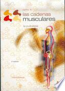Descargar el libro libro Cadenas Musculares, Las (tomo Iii).la Pubalgia