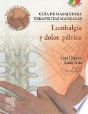 libro Guía De Masaje Para Terapeutas Manuales