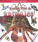 libro Muchos Tipos De Animales