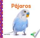 Descargar el libro libro Pájaros (birds)