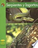 libro Serpientes Y Lagartos