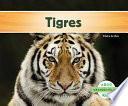 Descargar el libro libro Tigres
