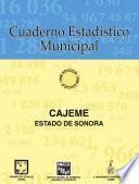 Descargar el libro libro Cajeme Estado De Sonora. Cuaderno Estadístico Municipal 1996