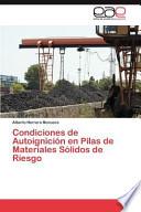 libro Condiciones De Autoignición En Pilas De Materiales Sólidos De Riesgo