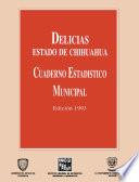 libro Delicias Estado De Chihuahua. Cuaderno Estadístico Municipal 1993