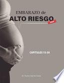 Descargar el libro libro Embarazo De Alto Riesgo 2