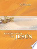 Descargar el libro libro En Los Pasos De Jesus