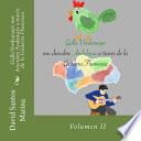 libro Gallo Verdemayo Nos Descubre Andaluca A Travs De La Guitarra Flamenca