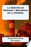 libro La Gestion De Riesgos Y Seguridad En La Minera