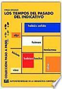 libro Los Tiempos Del Pasado Del Indicativo