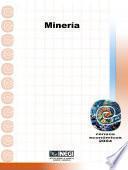 libro Minería. Censos Económicos 2004