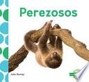 Descargar el libro libro Perezosos/ Sloths