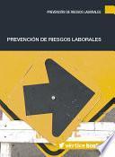libro Prevención De Riesgos Laborales
