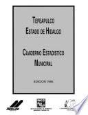 Descargar el libro libro Tepeapulco Estado De Hidalgo. Cuaderno Estadístico Municipal 1995