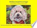libro Winslow Encuentra Un Hogar