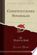 libro Constituciones Synodales (classic Reprint)